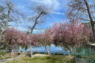 200 Wm Feather Dr, Voorhees, NJ 08043 - Photo 7