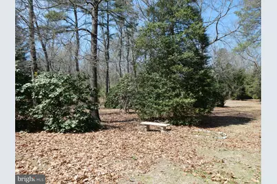 31 Braddock Avenue, Winslow Township, NJ 08037 - Photo 29