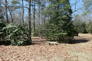 31 Braddock Ave, Winslow Township, NJ 08037 - Photo 29