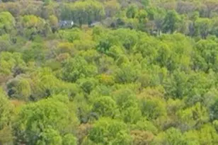 3 Cross Rd, Pine Hill, NJ 08021 - Photo 23