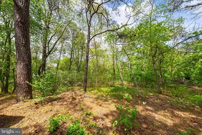37 Ray Smith Road, Sicklerville, NJ 08081 - Photo 13