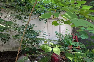1164 Kaighn Ave, Camden, NJ 08103 - Photo 11