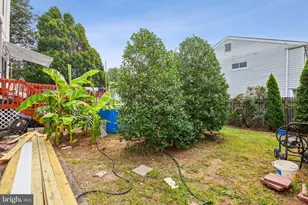 5313 Royal Ave, Pennsauken, NJ 08109 - Photo 25