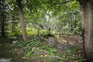 231 Cedarbrook Rd, Sicklerville, NJ 08081 - Photo 63