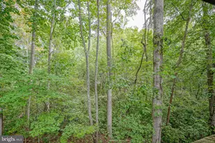 1104 Elena Ct, Sicklerville, NJ 08081 - Photo 15