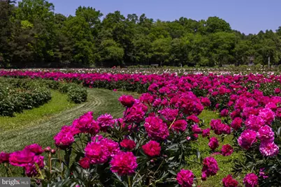 550 Hands Mill Road, Woodbine, NJ 08270 - Photo 19