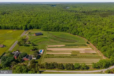 550 Hands Mill Road, Woodbine, NJ 08270 - Photo 1