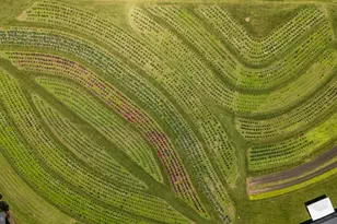 550 Hands Mill Rd, Woodbine, NJ 08270 - Photo 7