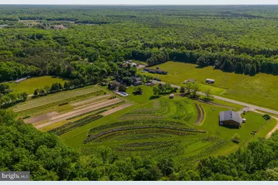 550 Hands Mill Road, Woodbine, NJ 08270 - Photo 5