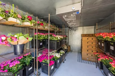 550 Hands Mill Road, Woodbine, NJ 08270 - Photo 51