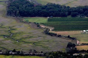 221 N Delsea Dr, Cape May, NJ 08210 - Photo 1