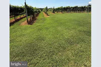 221 N Delsea Drive, Cape May, NJ 08210 - Photo 27