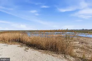 335 56th St, Sea Isle City, NJ 08243 - Photo 13