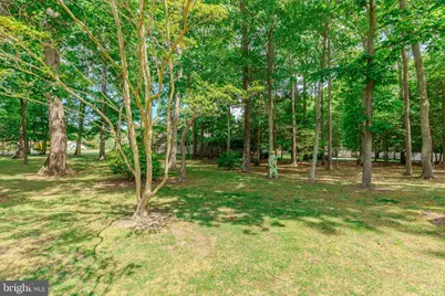 790 Tabernacle Road, Cape May, NJ 08204 - Photo 79