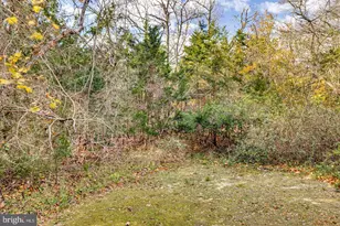 63 Siegtown Rd, Cape May, NJ 08210 - Photo 11