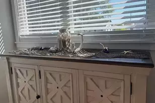 39 Birch Rd, Villas, NJ 08251 - Photo 21