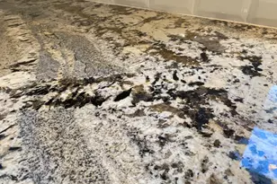 9 SE Blvd, Newfield, NJ 08344 - Photo 25