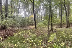 465 Tomlin Station Rd, Harrison Township, NJ 08062 - Photo 11