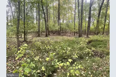 465 Tomlin Station Road, Harrison Township, NJ 08062 - Photo 11