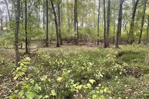 465 Tomlin Station Rd, Harrison Township, NJ 08062 - Photo 11