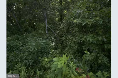 755 Buck Road, Elk Township, NJ 08343 - Photo 3