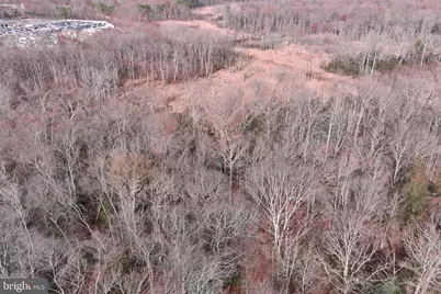 291 Union Street, Glassboro, NJ 08028 - Photo 55