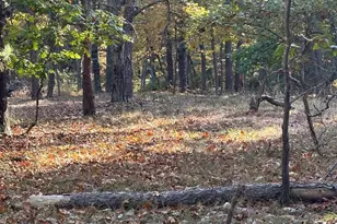 0 Black Horse Pike, Monroe Township, NJ 08094 - Photo 1