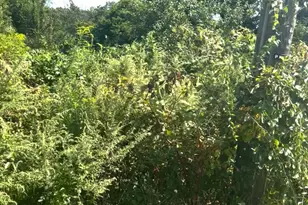 2954 S Black Horse Pike, Monroe Township, NJ 08094 - Photo 1