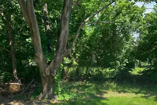 3 Cornell Rd, Glassboro, NJ 08028 - Photo 3