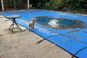 306 Mullica Hill Rd, Glassboro, NJ 08028 - Photo 37