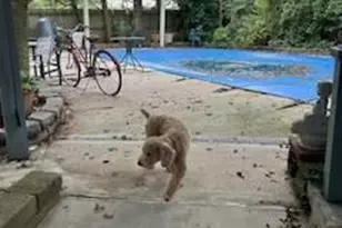 306 Mullica Hill Rd, Glassboro, NJ 08028 - Photo 57