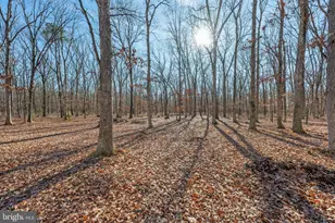 148 Trimmel Ave, Franklin Township, NJ 08322 - Photo 61