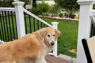 106 Nathan Hale Dr, Woodbury, NJ 08096 - Photo 51