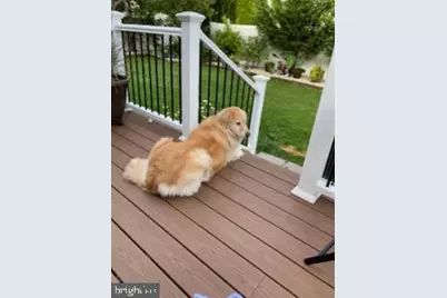 106 Nathan Hale Drive, Woodbury, NJ 08096 - Photo 59