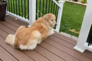 106 Nathan Hale Dr, Woodbury, NJ 08096 - Photo 59