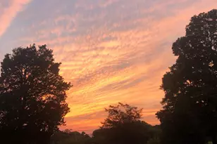 2270 Harding Hwy, Newfield, NJ 08344 - Photo 13