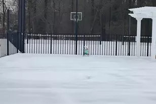 425 Periwinkle Dr, Woodbury, NJ 08096 - Photo 37