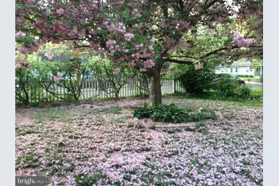 428 Pine Avenue, Woodbury, NJ 08096 - Photo 33