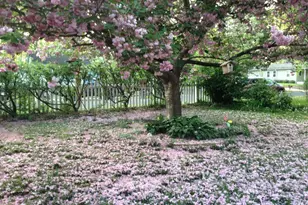 428 Pine Ave, Woodbury, NJ 08096 - Photo 33