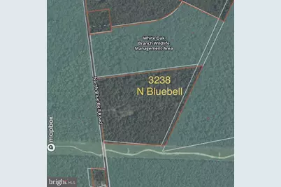 3238 N Blue Bell Road, Newfield, NJ 08344 - Photo 1