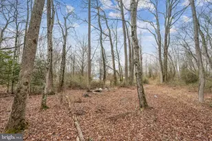 129 Buck Rd, Glassboro, NJ 08028 - Photo 21