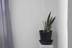 1819 County House Rd, Woodbury, NJ 08096 - Photo 31