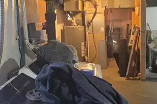 1819 County House Rd, Woodbury, NJ 08096 - Photo 99