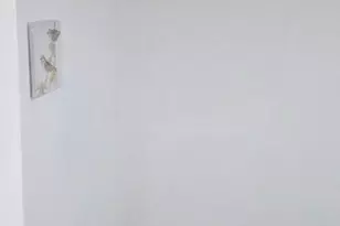 1819 County House Rd, Woodbury, NJ 08096 - Photo 107