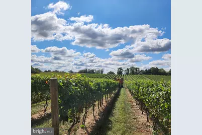 101 Griffin Road, Harrison Township, NJ 08062 - Photo 23