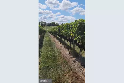 101 Griffin Road, Harrison Township, NJ 08062 - Photo 19