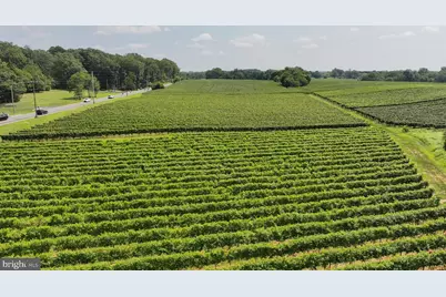 101 Griffin Road, Harrison Township, NJ 08062 - Photo 7