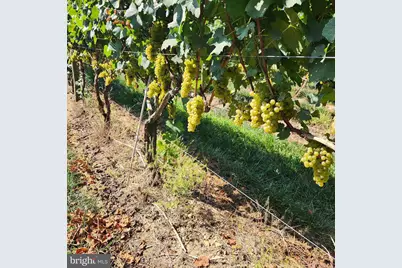 101 Griffin Road, Harrison Township, NJ 08062 - Photo 13