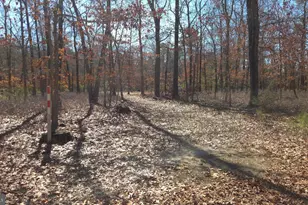 1910 Winslow Rd, Monroe Township, NJ 08094 - Photo 25