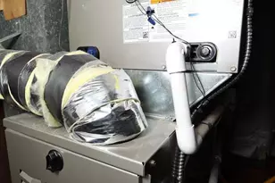 237 Capital Dr, Mantua, NJ 08051 - Photo 61